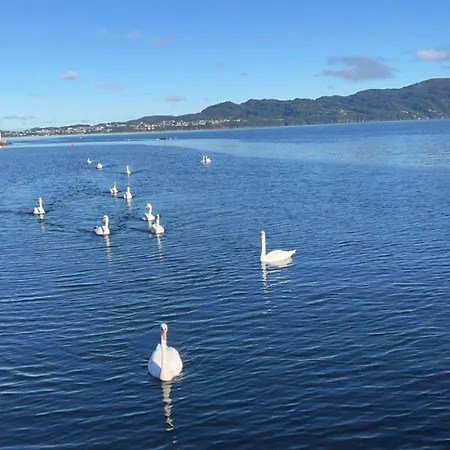 Feriehus Large House By The Sea