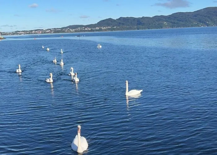 Vakantiehuis Large House By The Sea